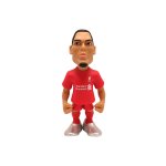 Football: Liverpool F.c - Van Dijk