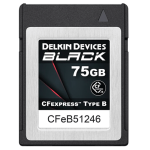 Cf Express 75GB 1725 1240MBS Type B Memory Card – DCFXBBLK75
