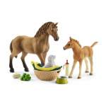 Horse Club - Sarah's Baby Animal Care Playset