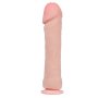 Baile The Big Penis With Suction Cup