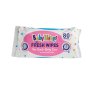 Wet Wipes 80S