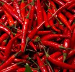 Chillies Red Mild 30G Sp