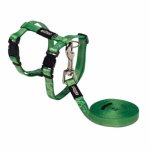 CAT Rogz Z Kiddy 8MM Extra Small H-harness And Lead Combination Lime Paws Design Waggs Pet Shop