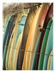 Ceylone Sliders Art Print - A1
