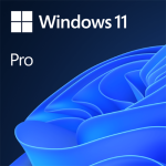 Windows 11 License DVD Single User License