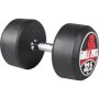 Fixed Dumbbell 32.5KG