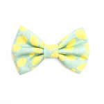Simply The Zest Dog Bow Tie - Regular