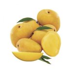 Alphonso Mango Concentrate - 10ML