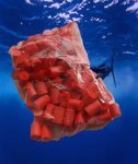 Fishing Floaters Red 100’S FL01
