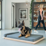Zen Dog Bed - Large - 120CM L X 14CM H X 91CM W Charcoal