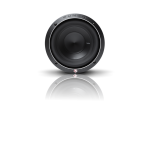 Rockford Fosgate P2D2-8 Punch 8 P2 2-OHM Dvc Subwoofer
