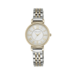 Anne Klein Ladies Roman Numeral Silver And Gold Tone Bracelet Watch