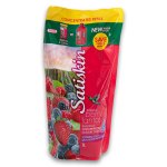 Luxurious Concentrated Bubble Bath Refill Blissful Berry Fantasy 1L