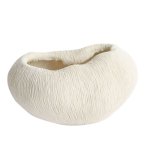 White Coral Scalloped Bowl
