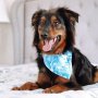 You Had Me At Aloha ~ Dog Bandana - Large