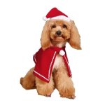 Dog Christmas Costume "santa Pooch
