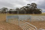 Sheep Rotary Force - Galvanised