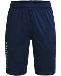 Boys' Ua Prototype 2.0 Wordmark Shorts - Academy Yxs