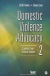 Domestic Violence Advocacy - Complex Lives difficult Choices Paperback 2ND Revised Edition