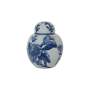 Valencia Ceramic Ginger Jar