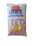 Lake 101 Seed