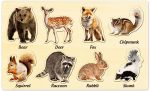 Wooden Jigsaw Puzzles For Toddlers By Moinkidz Woodland Animals Montessori Puzzles For Kids Ages 3-5 Educational Learning Stem T