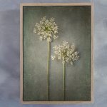 Foraged 1 Art Print - A1 Framed Canvas With Natural Wood Frame