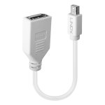Lindy 15CM MINI Dp M To Disp Port F Adap 41021