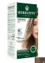 Hair Colours - 8C Light Ash Blonde