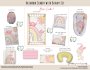 Cot Duvet Bedding Rainbow Crabby With Bunny Set