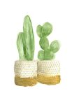 Cactus Basket 2 Art Print