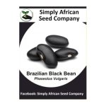 Beans Brazilian Black 15'S