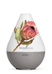 Watercolour Protea Dewdrop Diffuser Decal