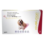 - Dog - Red Box 10.1 To 20KG