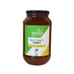Raw Fynbos Honey Glass Jar 1KG