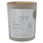 Fragrance Soy Candle 230G Aloe And Mint