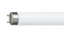 230VAC 22W Warm White Frosted 1500MM 5FT LED T8 Tube.