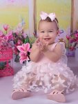 Pink Lace Butterfly Dress