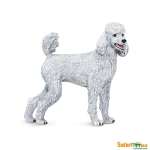 Best In Show Dogs Poodle