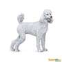 Best In Show Dogs Poodle