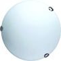 16" Full Moon 3XE27 Metal Body Glass Cover Ceiling Mount