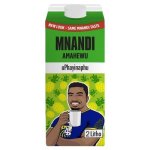 Mnandi Amahewu Pineapple 2L