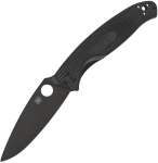 Spyderco Resilience Lw C142PBBK
