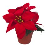 Habitat Plastic Poinsettia Plant Decor Red Height: 13CM