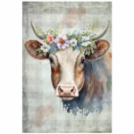 FSC1042 Kitchen Towel