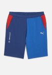 Puma Bmw Mms Ess Shorts Ft - Pro Blue-m Color