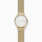 Skagen Signatur Gold Round Stainless Steel Mesh Women's Watch SKW2693