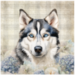 Husky FSC2387 Printed Panel
