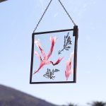 Velt Botanical Frame - Seaweeds - 12CM X 12CM Square