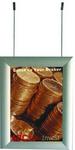 Parrot Poster Frame Hanging Set - 1 Meter